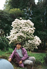 1996 - Grande-Bretagne 47 (Portmeirion - Mai 1996)